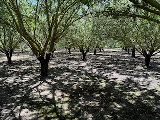 18401 S Carrolton Ave, Ripon, CA 95366