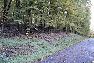 000 Palisades Drive #116 & #117 Unit Palisades Sub. Lots, Eddyville, KY 42038