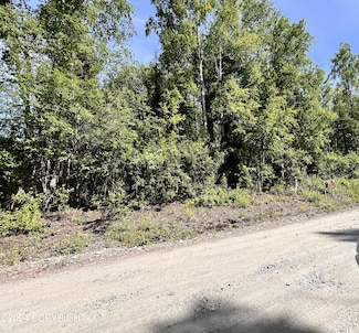 14877 Martin Dr, Willow, AK 99688