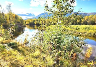 6825 Alexander Creek Unit TRACT A-1, Remote, AK 99000