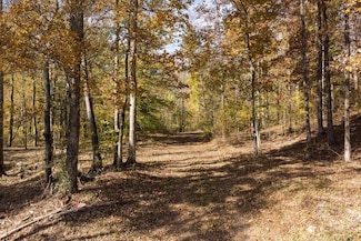 0 Wildcat Rd Unit RTC3044870, Dickson, TN 37055