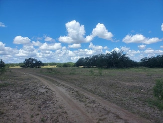 Tract 36 Cave Wells Rd Unit 36, Fort McKavett, TX 76841