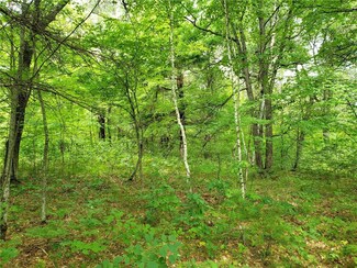7178 Oakwood Pkwy, Webster, WI 54893