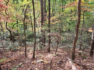Lot 11 Bluff Mountain Rd, Pittman Center, TN 37876