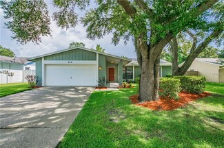 516 Bryan Valley Ct, Brandon, FL 33511