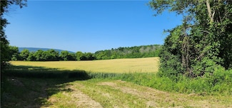 0 Town Line Rd, Middlesex, NY 14544