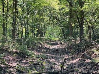 0 Poydras Plant Lot 10 Unit 2532494, St. Bernard, LA 70085