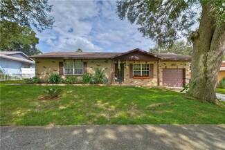 1230 Oak Valley Dr, Seffner, FL 33584