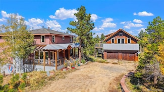 45 Alpine Dr, Nederland, CO 80466
