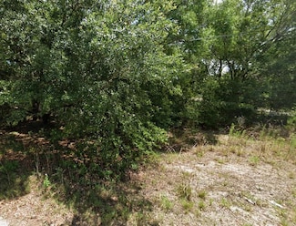 0 NW 52nd Ave Unit MFROM698887, Ocala, FL 34482