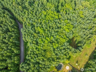 0 Lot 17 Grand Ridge Rd, Toutle, WA 98649