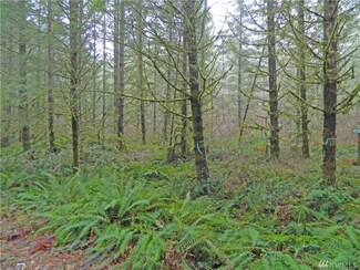 1 408th St S, Roy, WA 98580