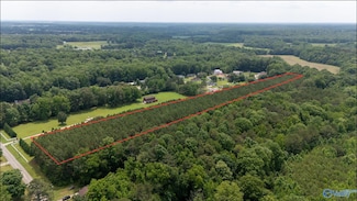 9.05 Toney School Rd, Toney, AL 35773