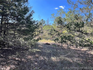 0 Miller Jumbo Rd, Daisy, OK 74540