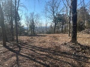 536 Leonard Ln, Pottsville, AR 72858