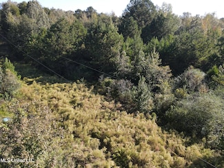 00 Toy Dr NW, Brookhaven, MS 39601