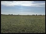 0 State Highway Pp, Macon, MO 63552