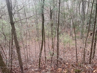 Lot 5 Wildwood Dr Unit L-5, Lake Toxaway, NC 28747