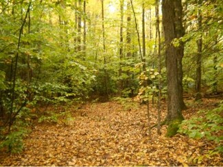0 Dorsch Hill, Putney, VT 05346