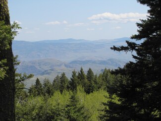 0 Ellemeham Ridge Rd Unit 787354, Oroville, WA 98844