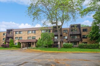 1205 E Hintz Rd Unit 206, Arlington Heights, IL 60004