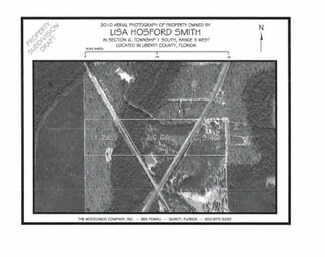 0 Florida 65 Unit x 232539, Hosford, FL 32334