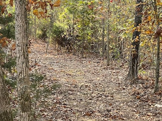 0 Lower Janes Creek Rd, Ravenden Springs, AR 72460