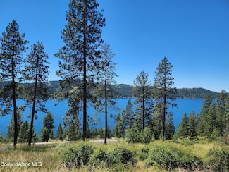 Lt 21 Blk Promontory Rd, Harrison, ID 83833