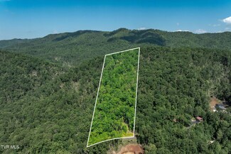 Tbd Longview Private Dr, Mountain City, TN 37683