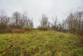 0 E Hooppole Ridge Rd NE, Meigsville Township, OH 43756
