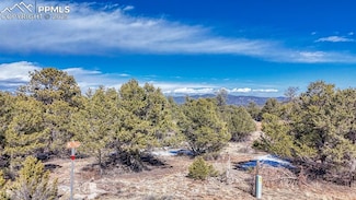 0 K Path Unit 8642609, Cotopaxi, CO 81223