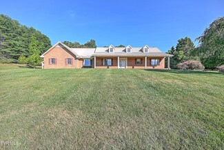 1035 River Village Ln, Afton, TN 37616