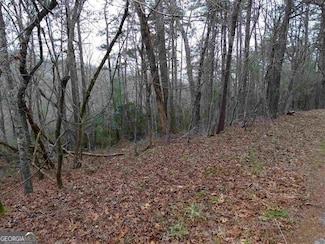 0 Valhalla Dr Unit 10514802, Cleveland, GA 30528