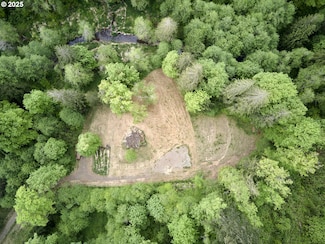 285 Ambler Rd, Ariel, WA 98603