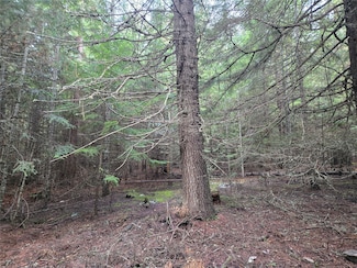 LOT A-2 Elk Heights Ln, Heron, MT 59844