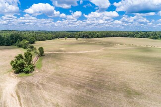 0 Old State Route 69 Unit 223774, Sugar Tree, TN 38380