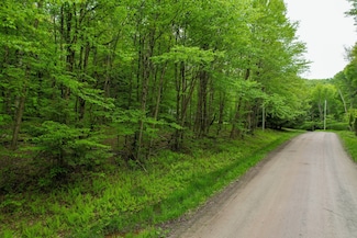 0 Deer Run Rd, Hancock, NY 13783