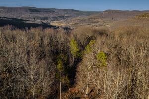 0 Nc 8482 Unit 148430, Deer, AR 72628