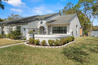 3401 Killdeer Place, Palm Harbor, FL 34685