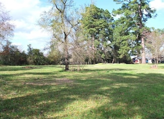 0 E Oak Ridge Dr, Point Blank, TX 77364
