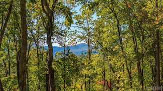 Lot 89 Black Oak Dr, Sapphire, NC 28774