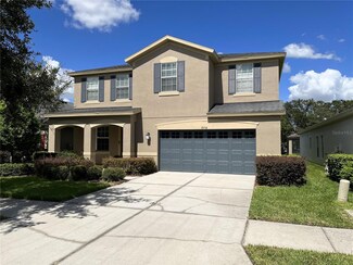 8718 Turnstone Shore Ln, Riverview, FL 33578