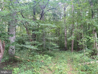 29579 Ella Brooks Ln, Easton, MD 21601