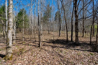 0 Bedford Creek Rd Unit RTC2867452, Franklin, TN 37064