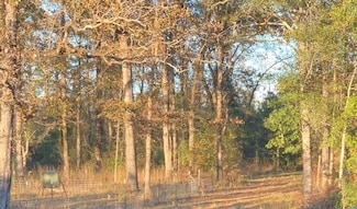 Sowhatchee Rd, Blakely, GA 39823