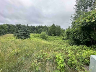 LOT 41 Point Trail, Saratoga, WI 54494