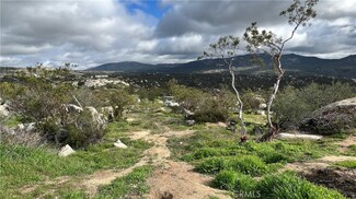 46380 Polak Rd, Hemet, CA 92544