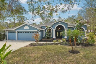 7546 Richland St, Wesley Chapel, FL 33544