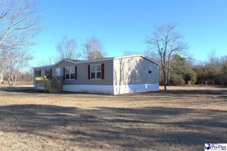 149 Blossom Rd, Marion, SC 29571
