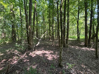 3119 Doc Gray Rd, Maynard, AR 72444